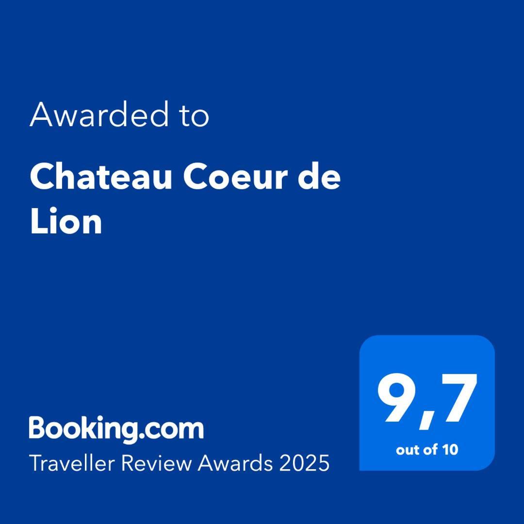 Chateau Coeur De Lion Châteauponsac Exterior foto